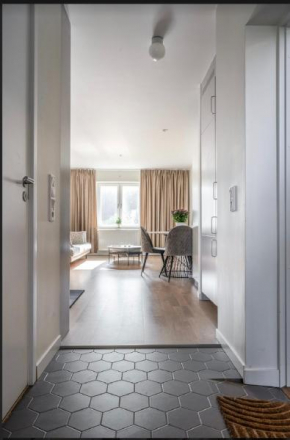 Central apartment 5min drive to the Airport., Stockholm